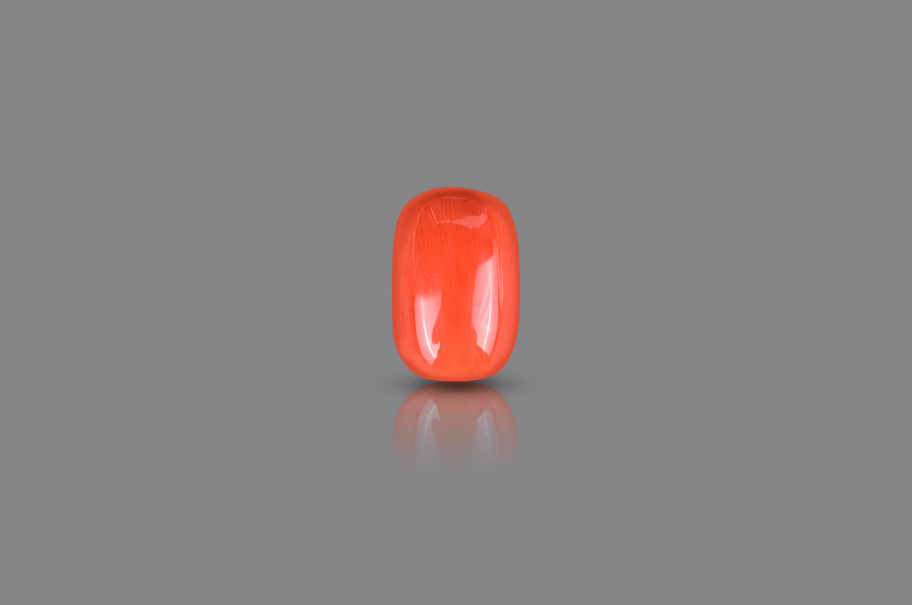 Red Italian Coral - 19.05 carats
