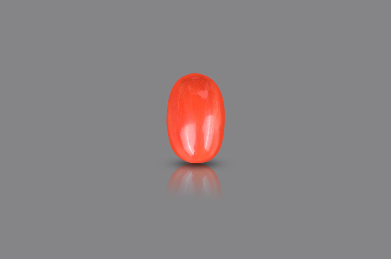 Red Italian Coral - 11.80 carats - I