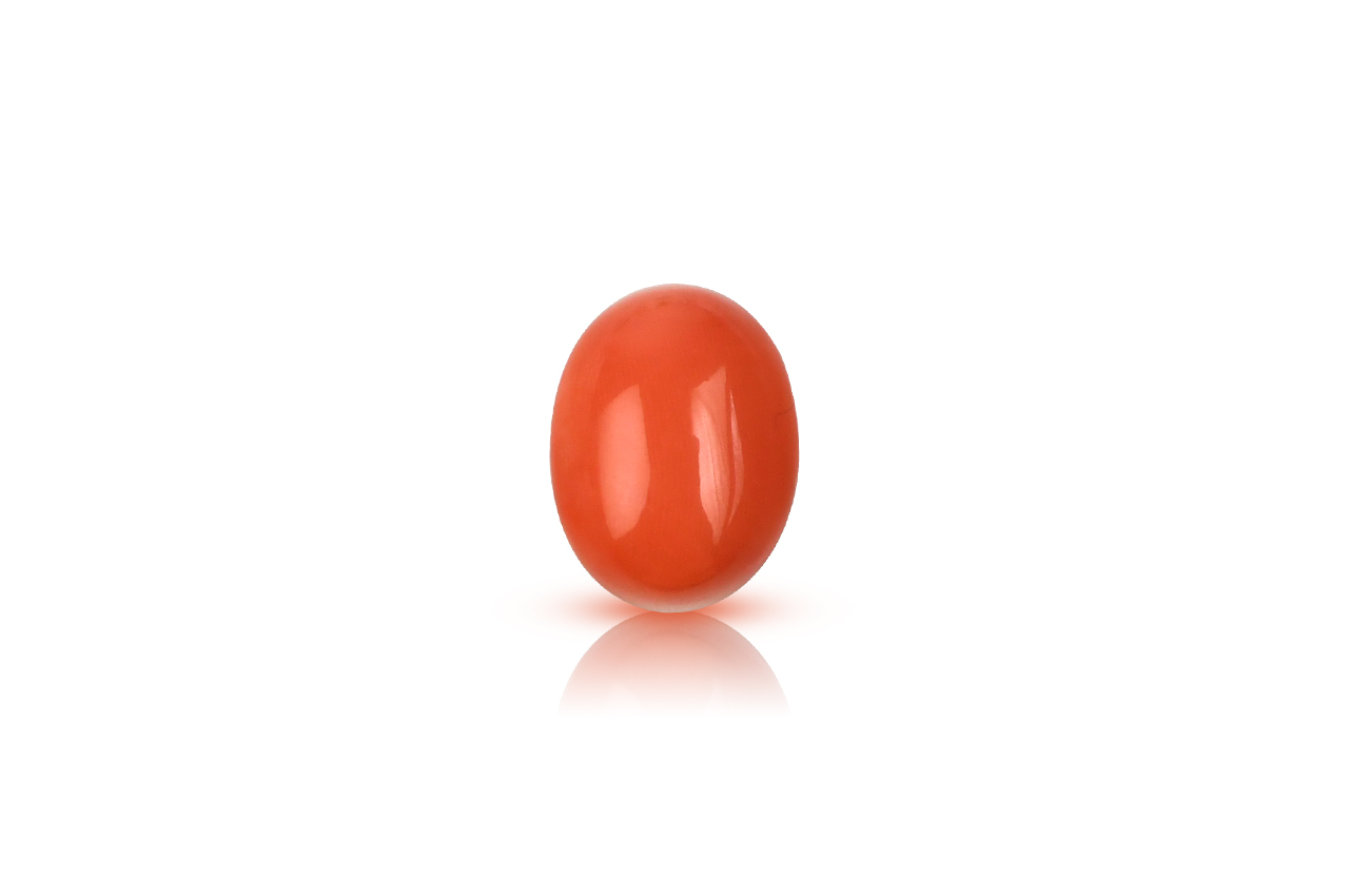 Red Japanese Coral - 9.04 carats
