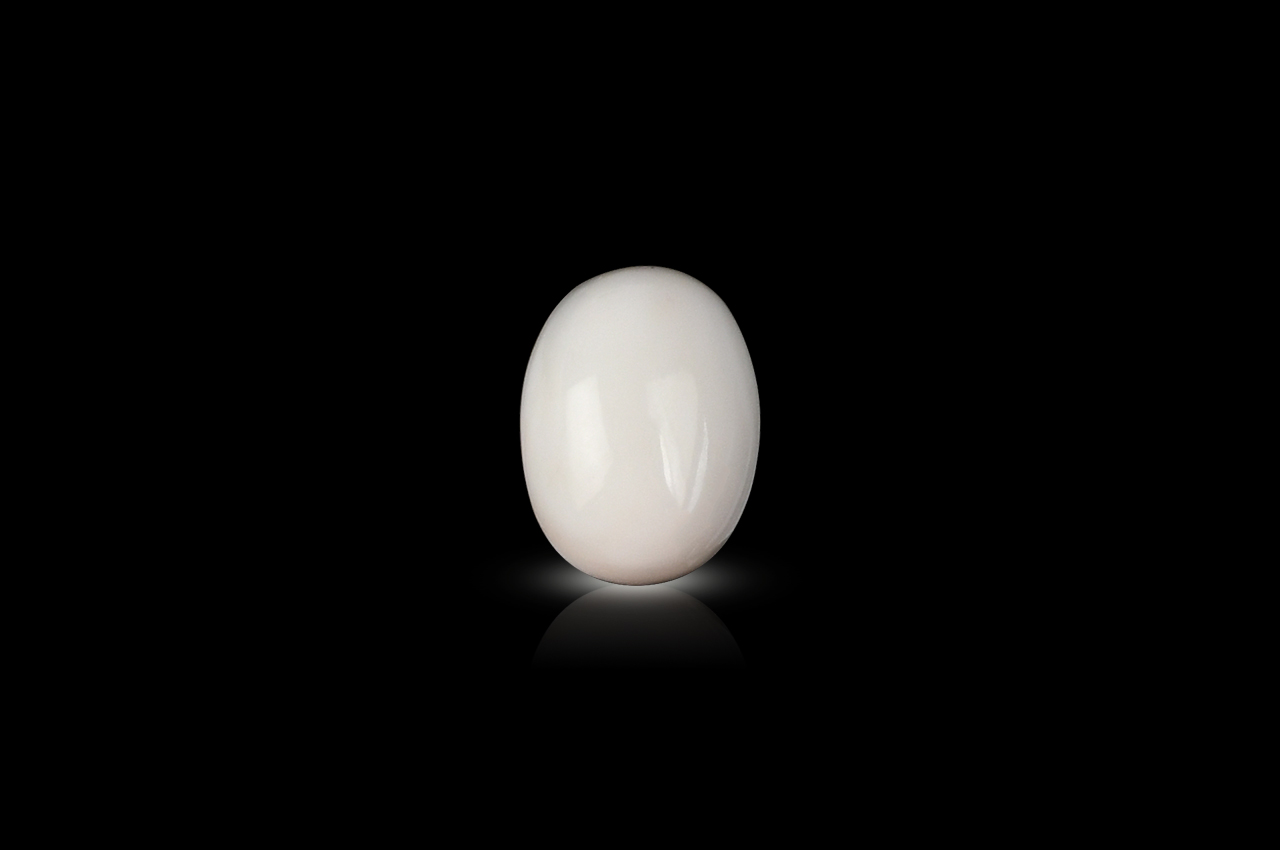 White Coral - 6.95 carats