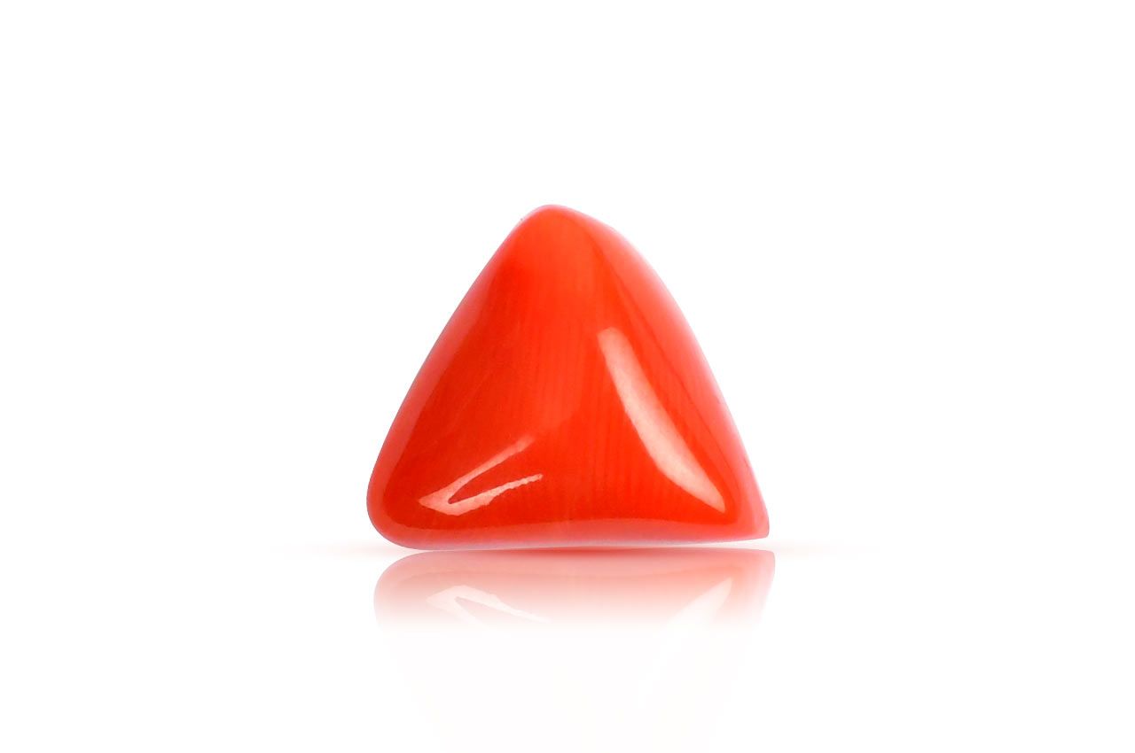 Italian Coral triangular - 14.30 carats