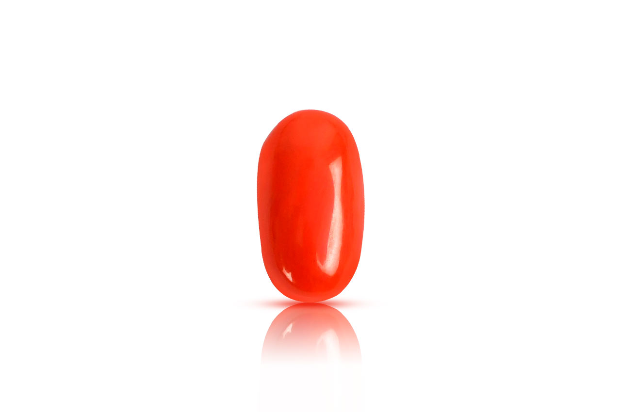 Red Italian Coral - 10.30 carats