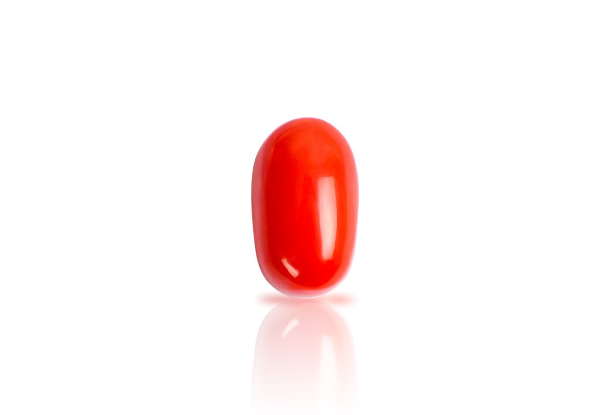 Red Italian Coral - 11.25 carats