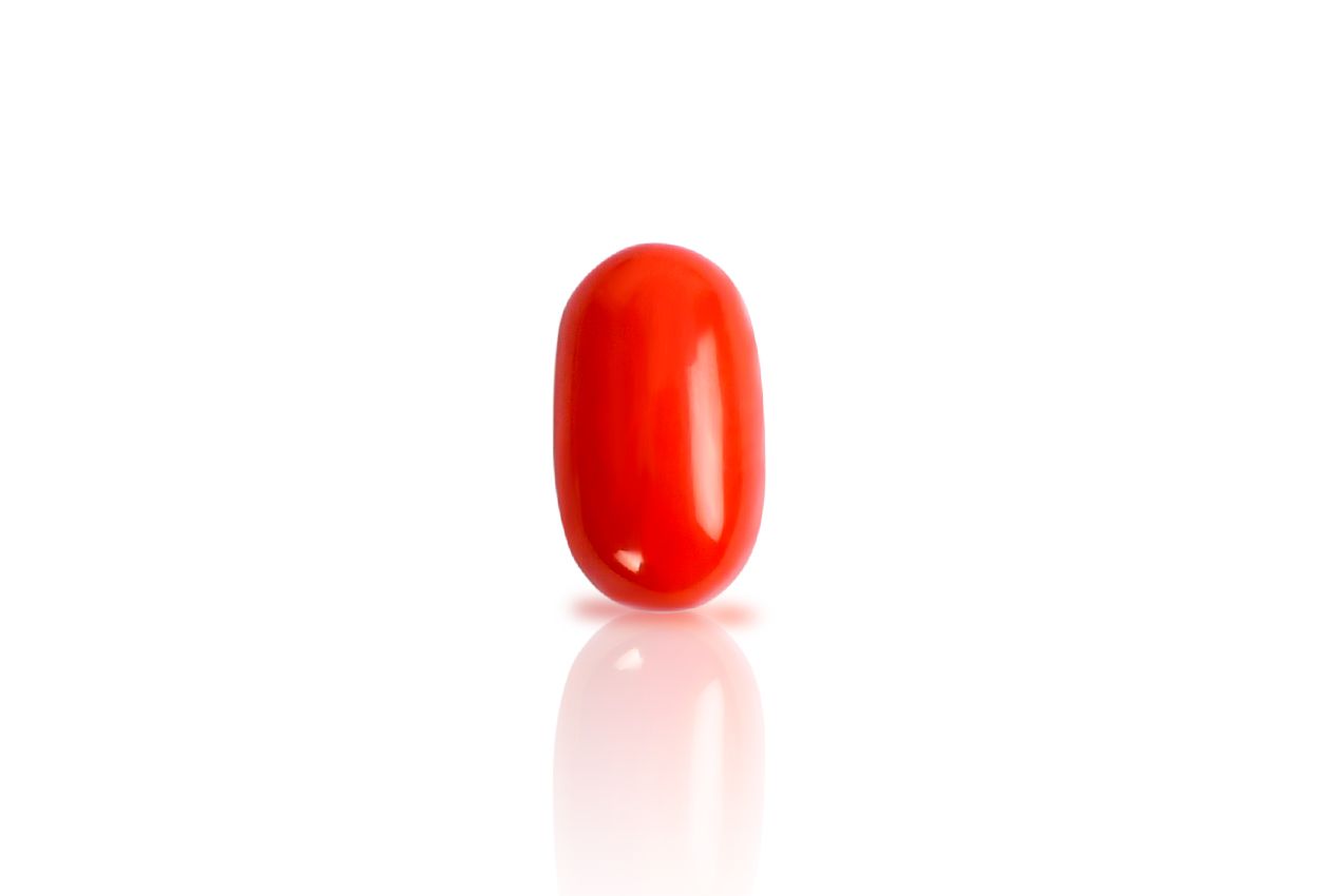 Red Italian Coral - 11.65 carats