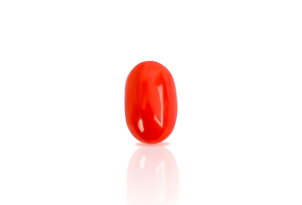 Red Italian Coral - 11.65 carats - I