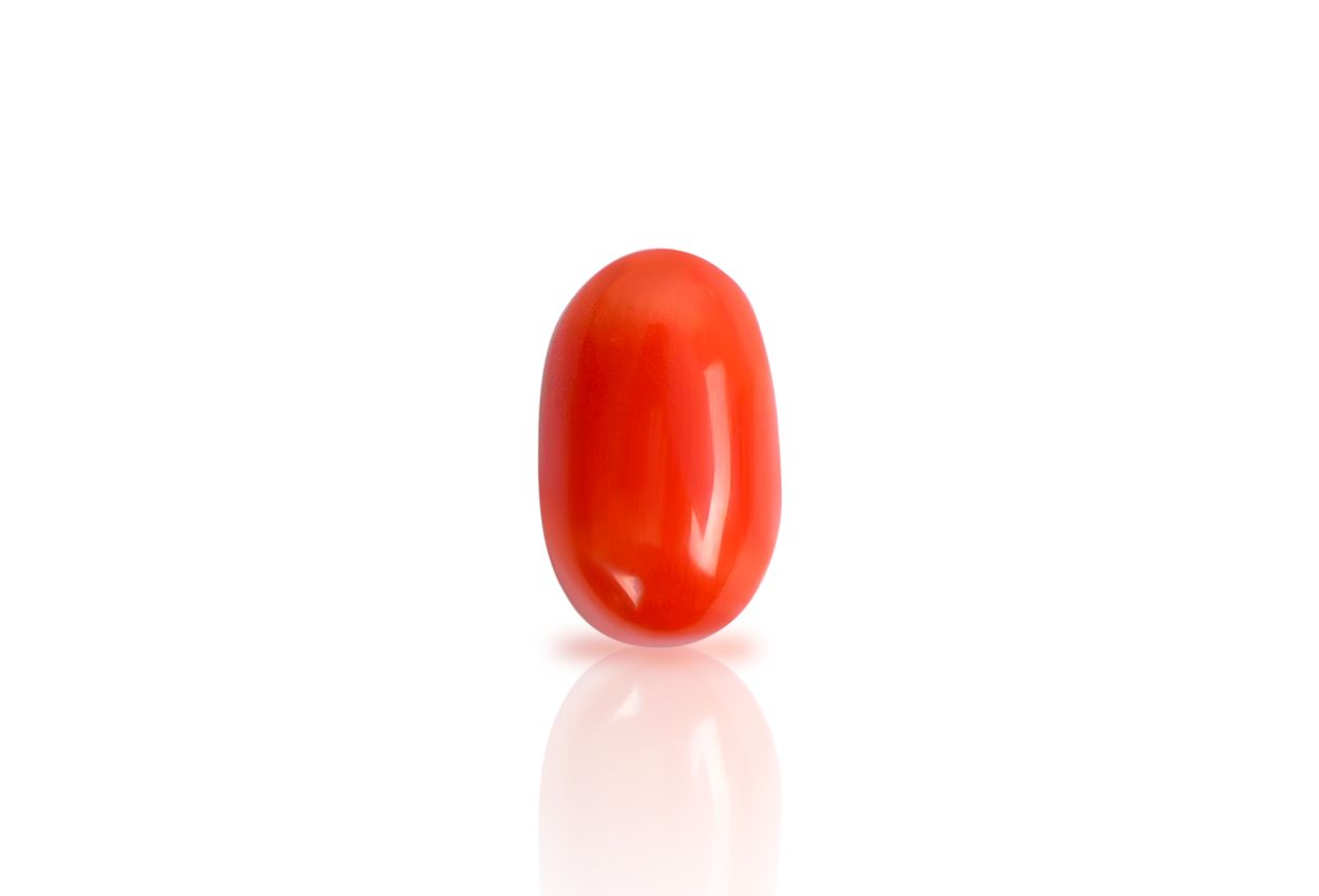 Red Italian Coral - 11.80 carats