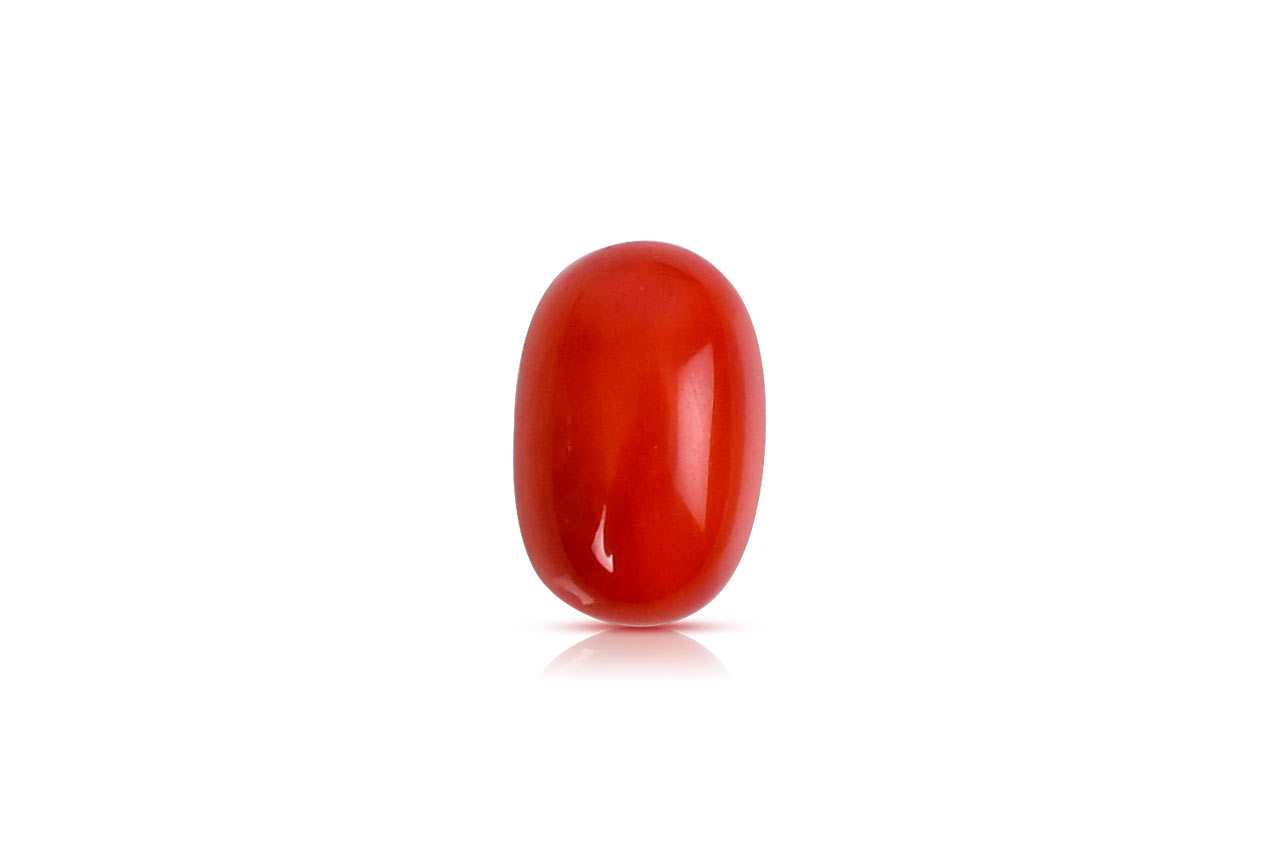 Red Italian Coral - 12.10 carats