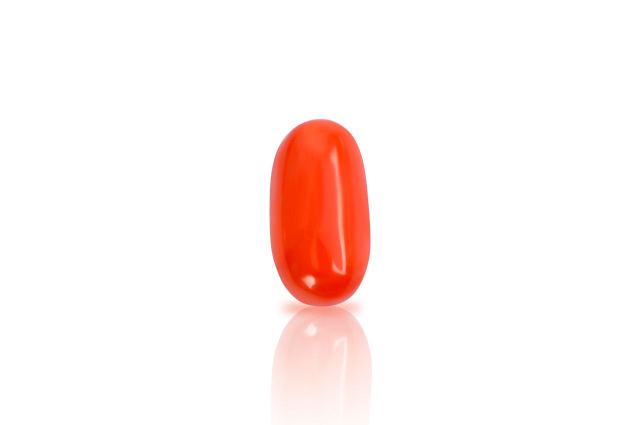 Red Italian Coral - 12.85 carats - I