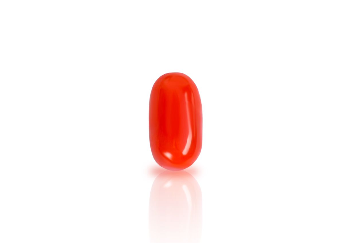 Red Italian Coral - 13.30 carats