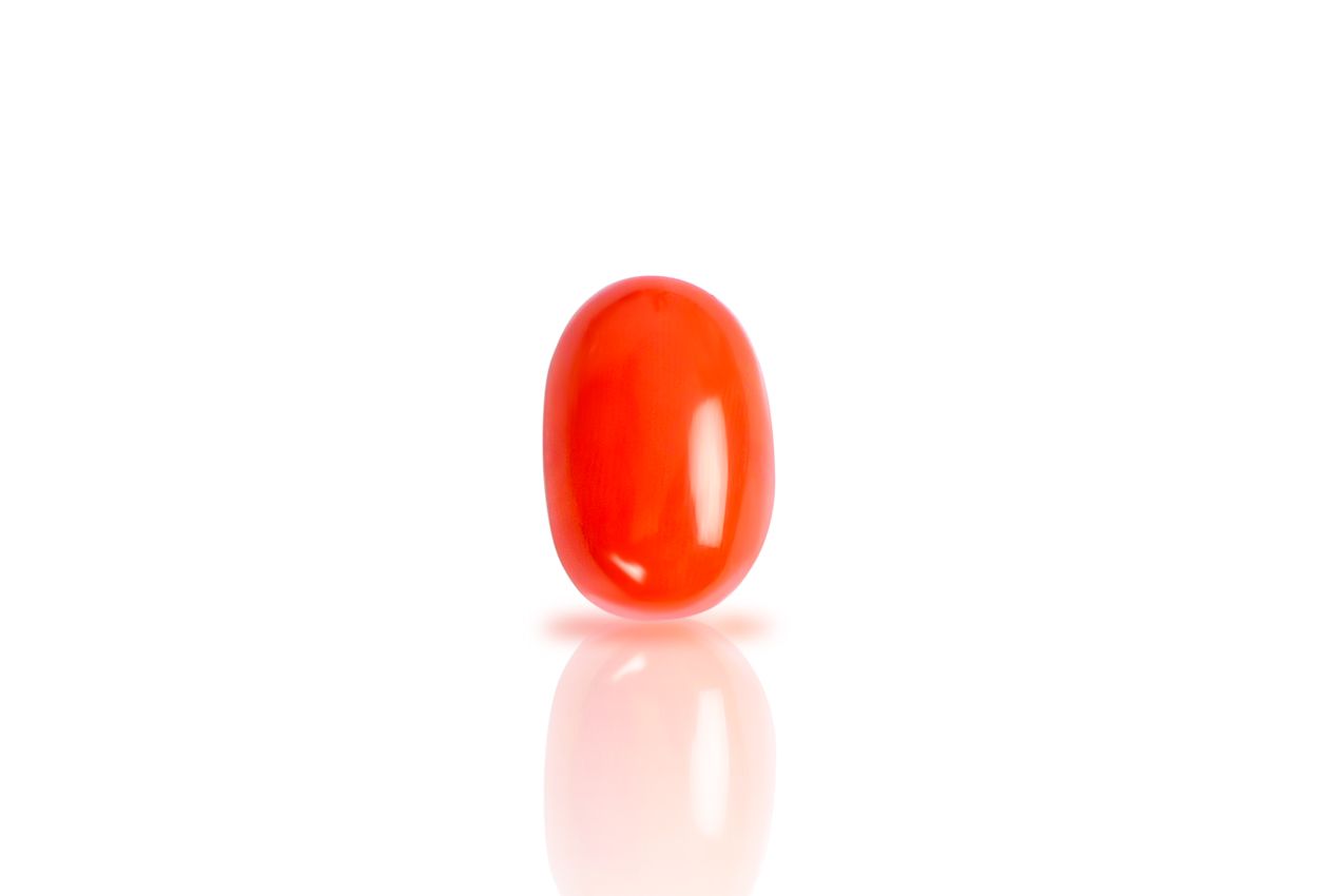 Red Italian Coral - 13.55 carats