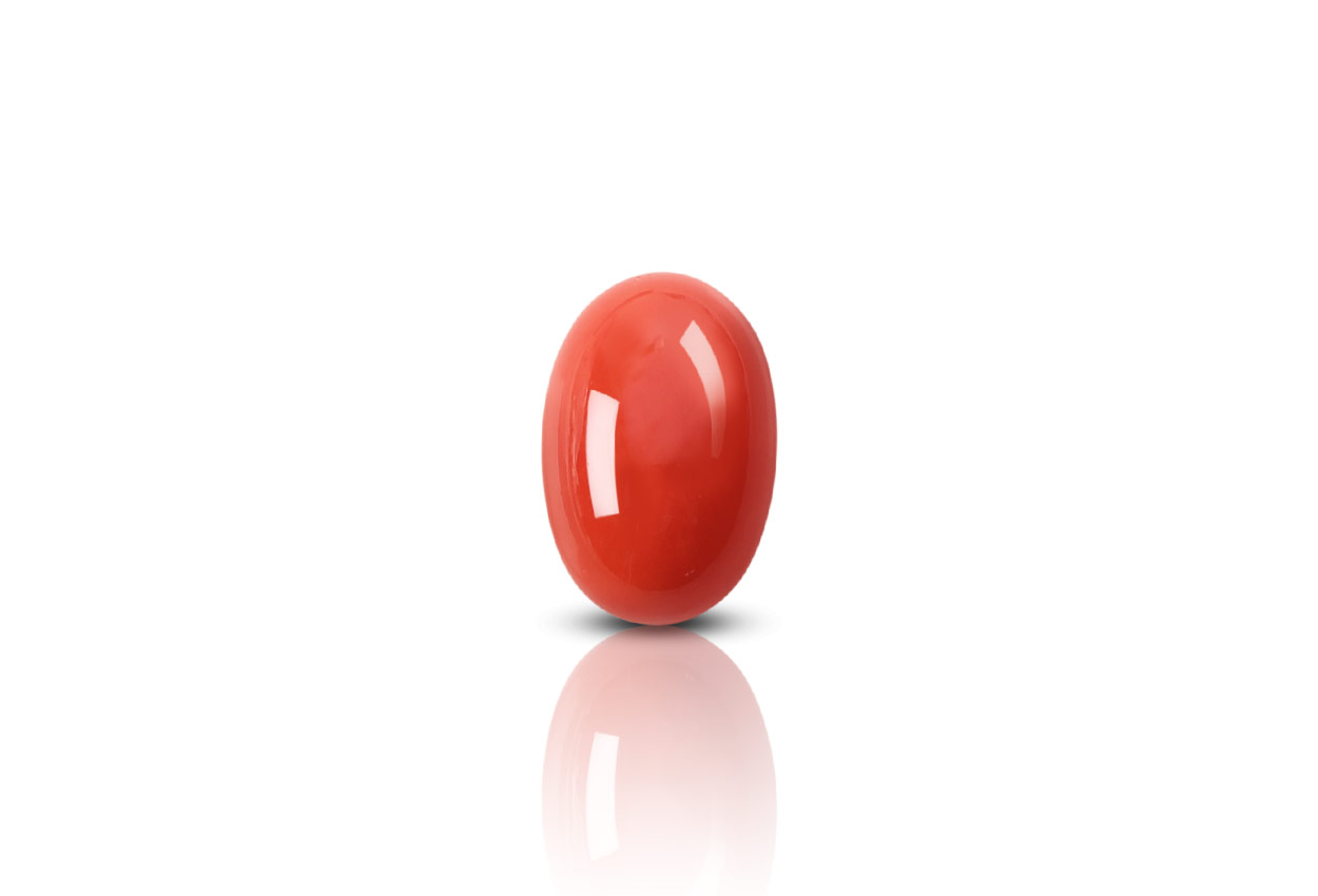 Red Italian Coral - 13.75 carats