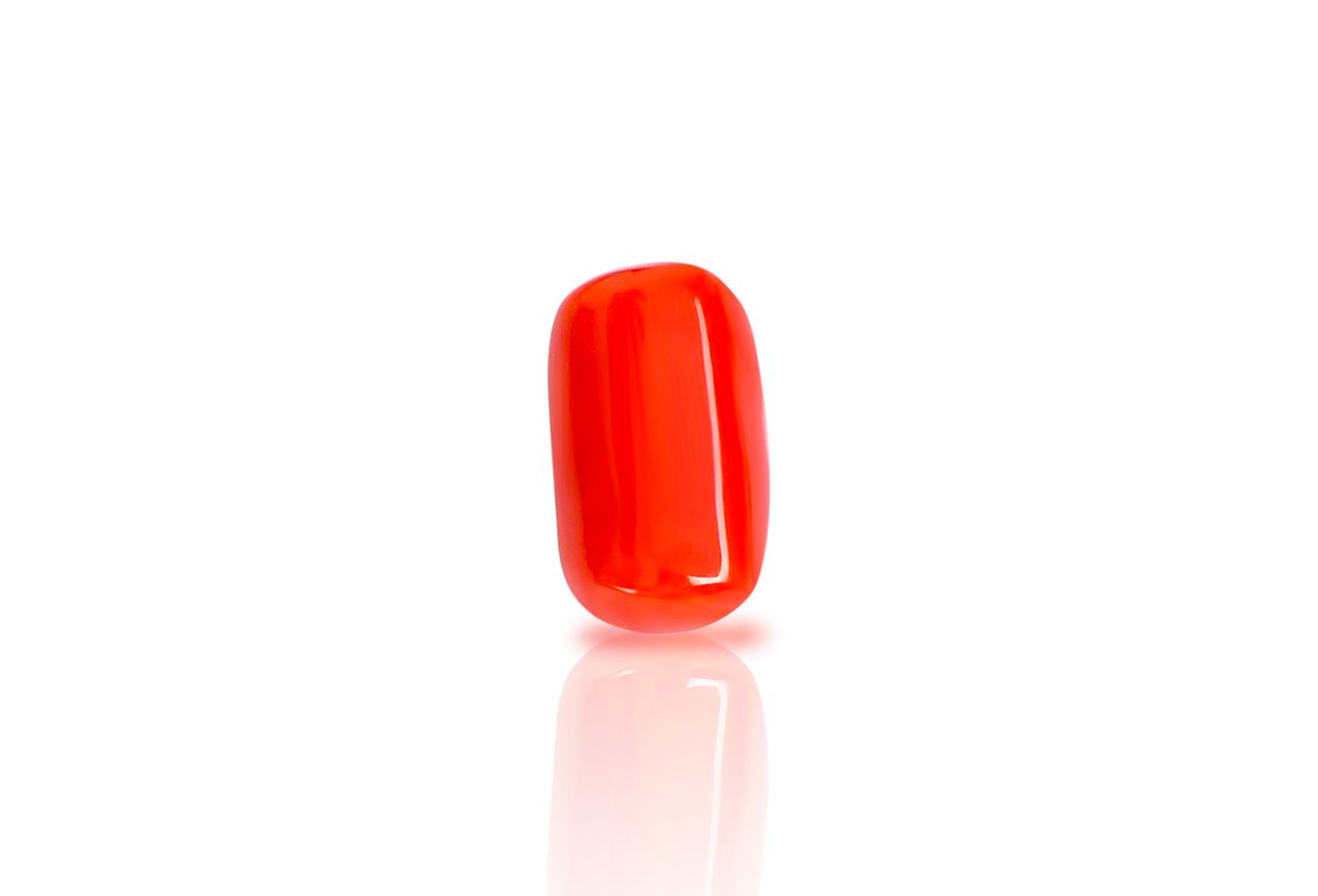 Red Italian Coral - 13 carats