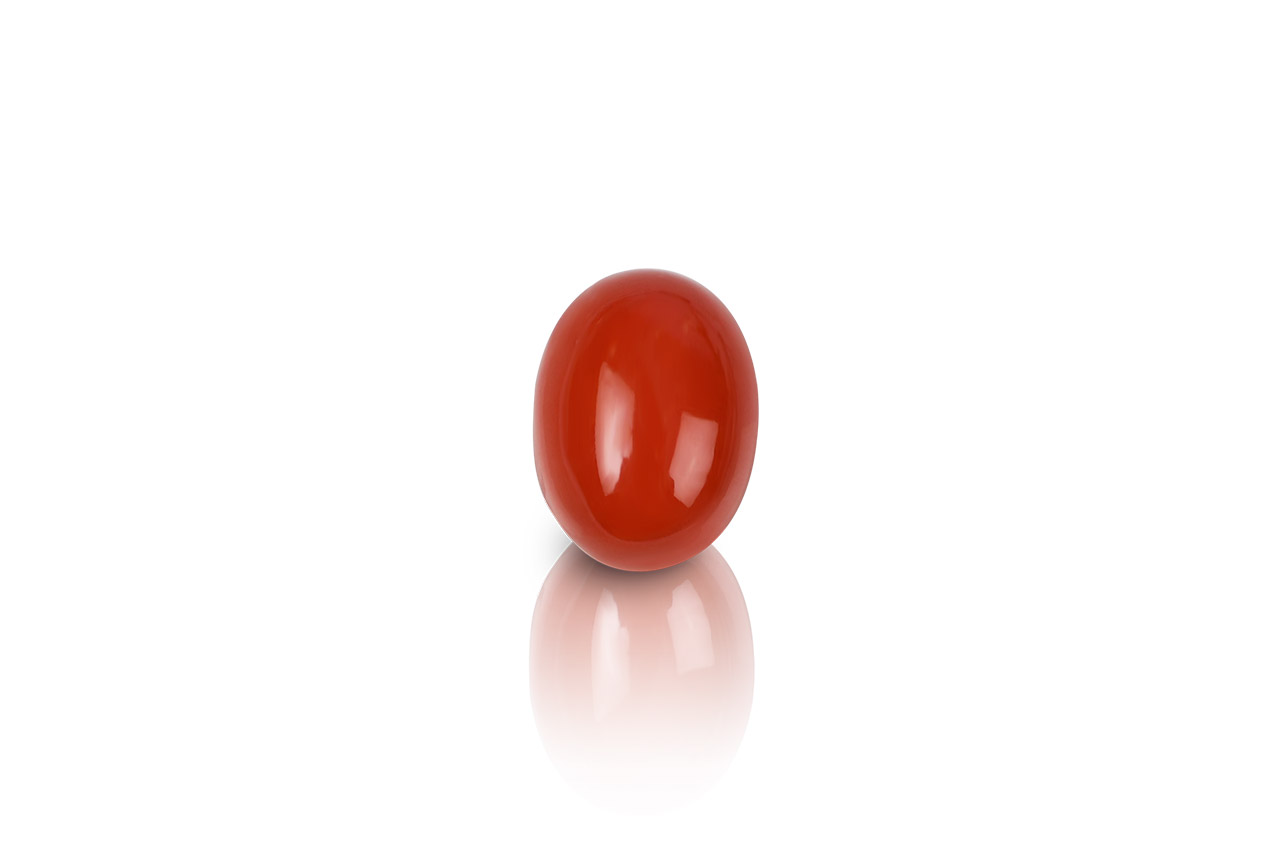Red Italian Coral - 22.65 carats