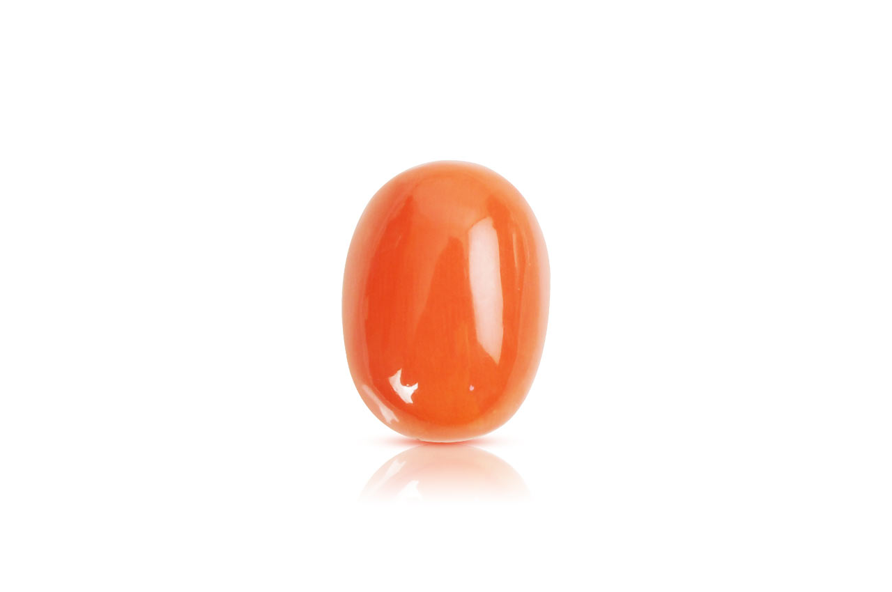 Red Japanese Coral - 11.44 carats