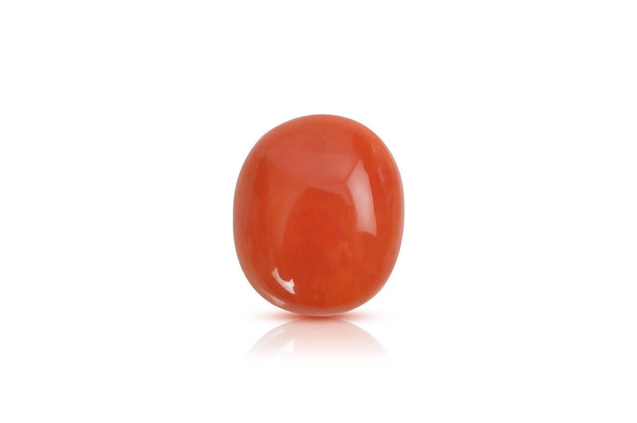 Red Japanese Coral - 11.25 carats