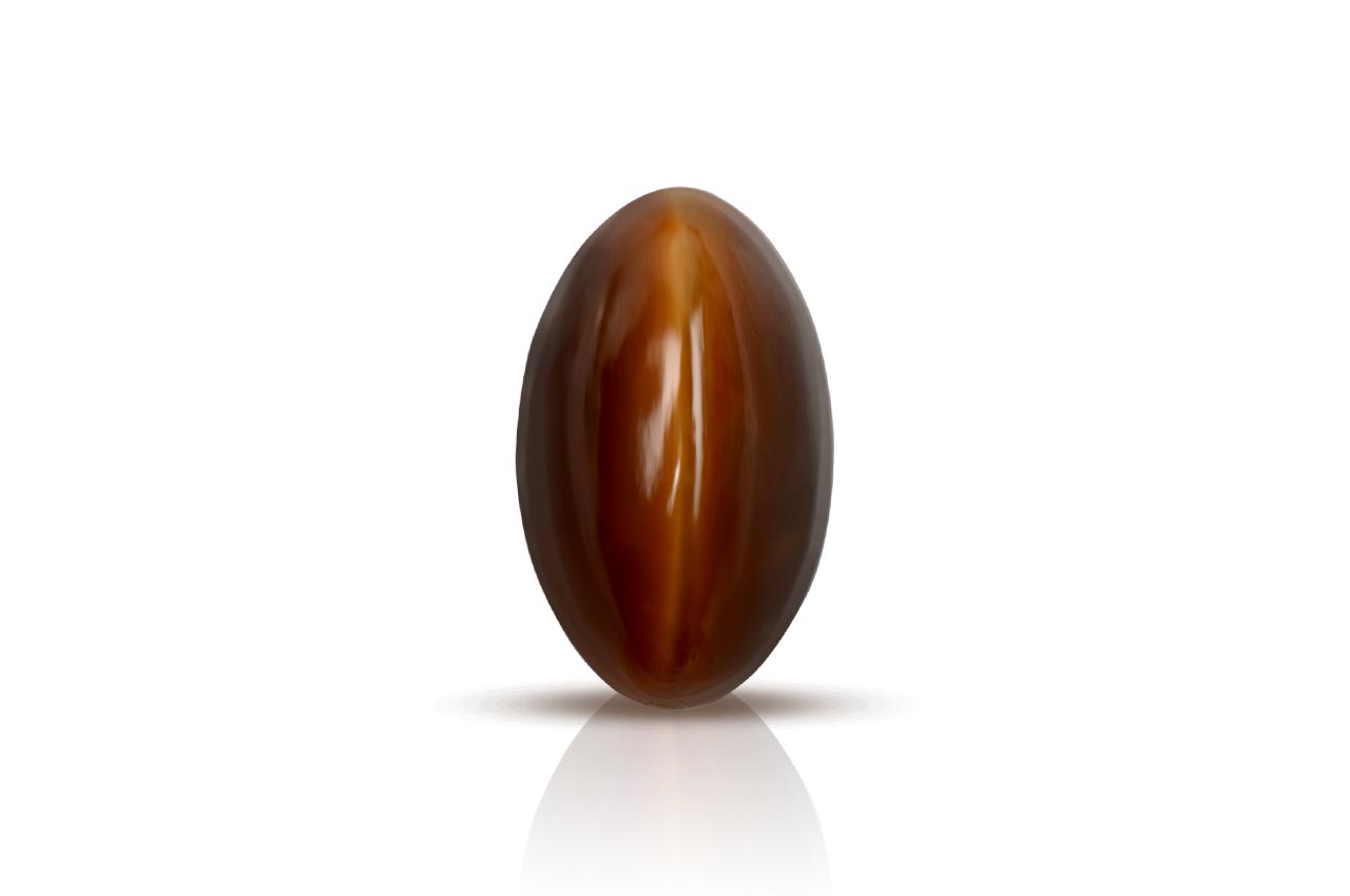 Tiger Eye - 7 carats