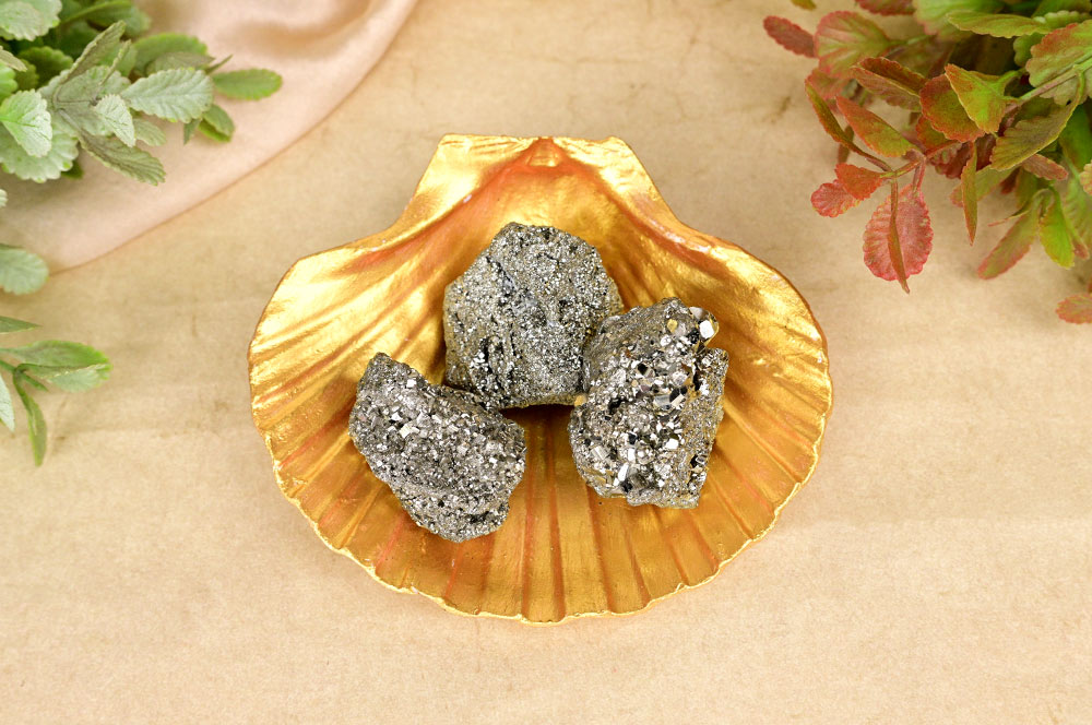 Pyrite stone in Sea shall Plate