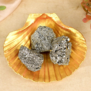 Pyrite stone in Sea shall Plate