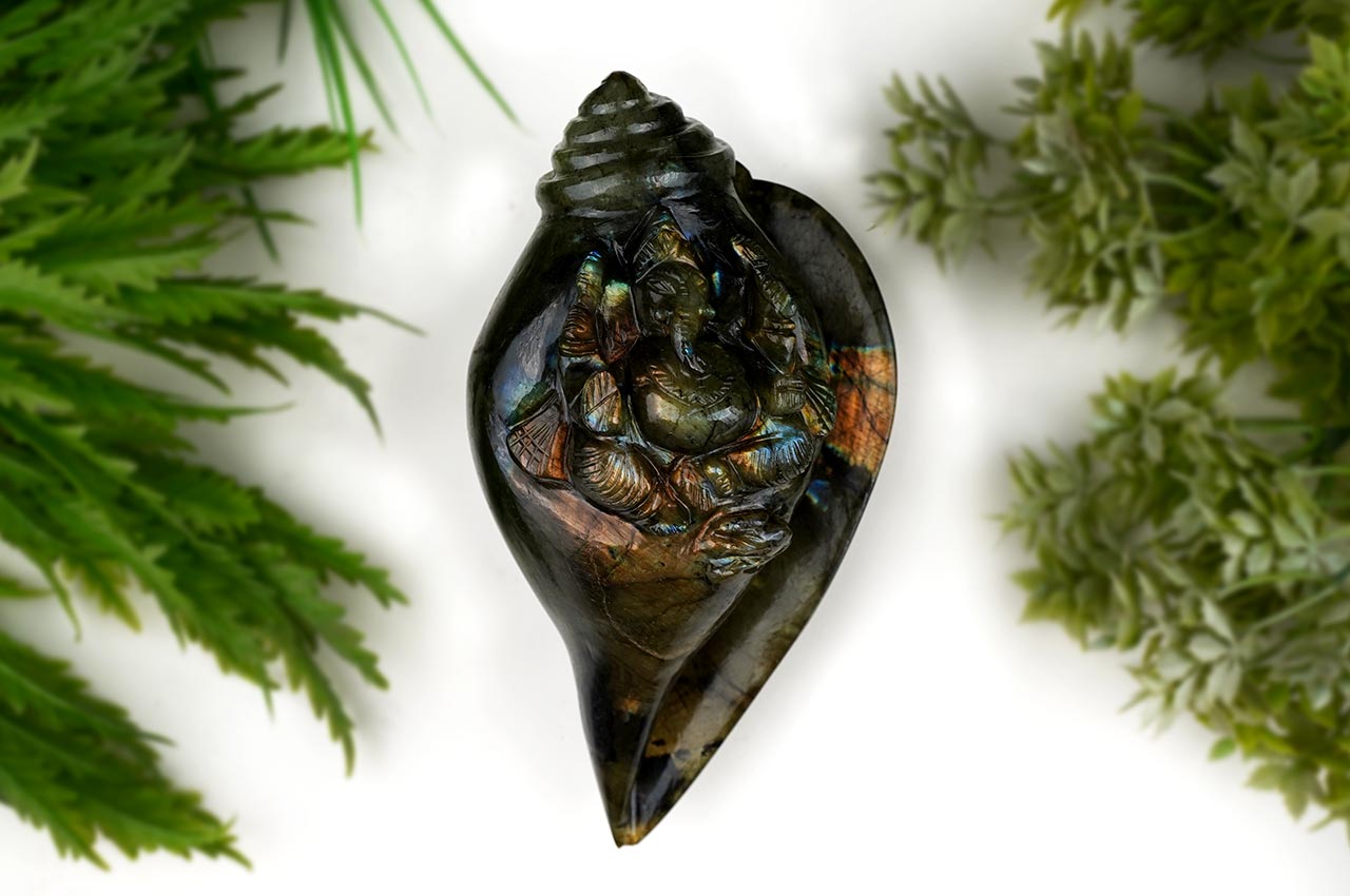 Ganesha Shankh in Labradorite - 1.320 Kgs
