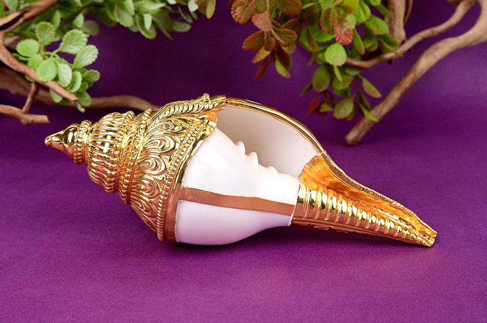 Vamavarti Shankh with 92.5 Sterling Silver Cover - XV