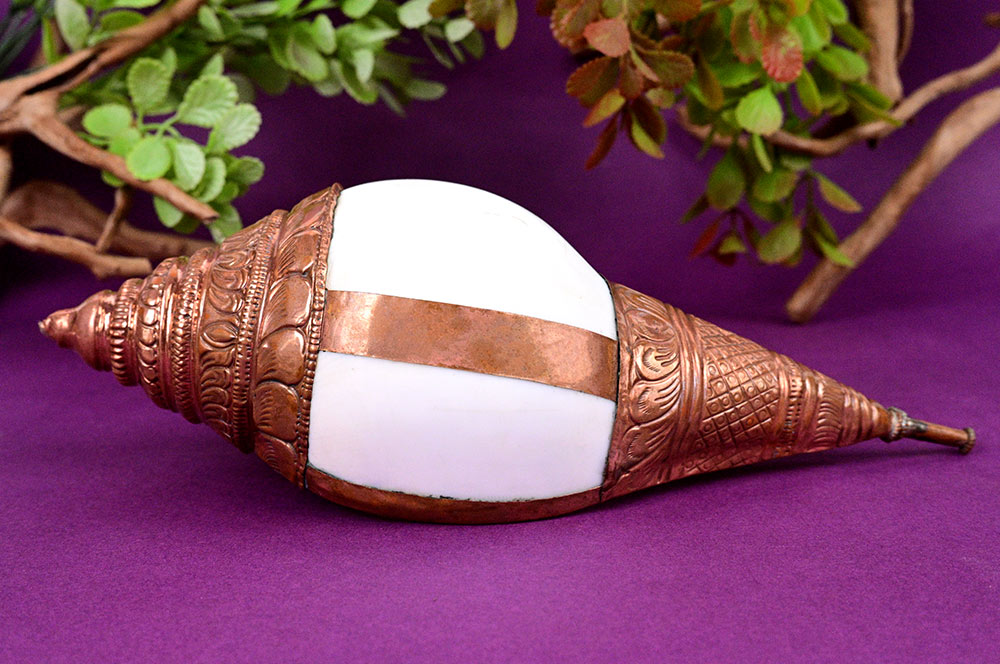 Vamavarti Shankh with 92.5 Sterling Silver Cover - XVI