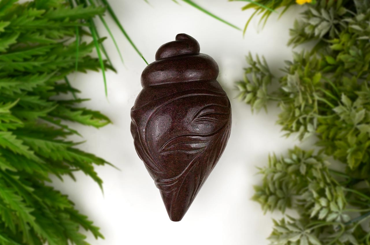 Left Handed Shankh in Ruby
