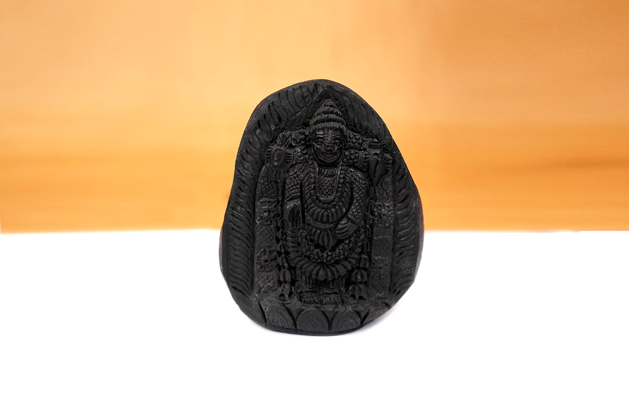 Tirupati Balaji Shaligram Murti - XXI