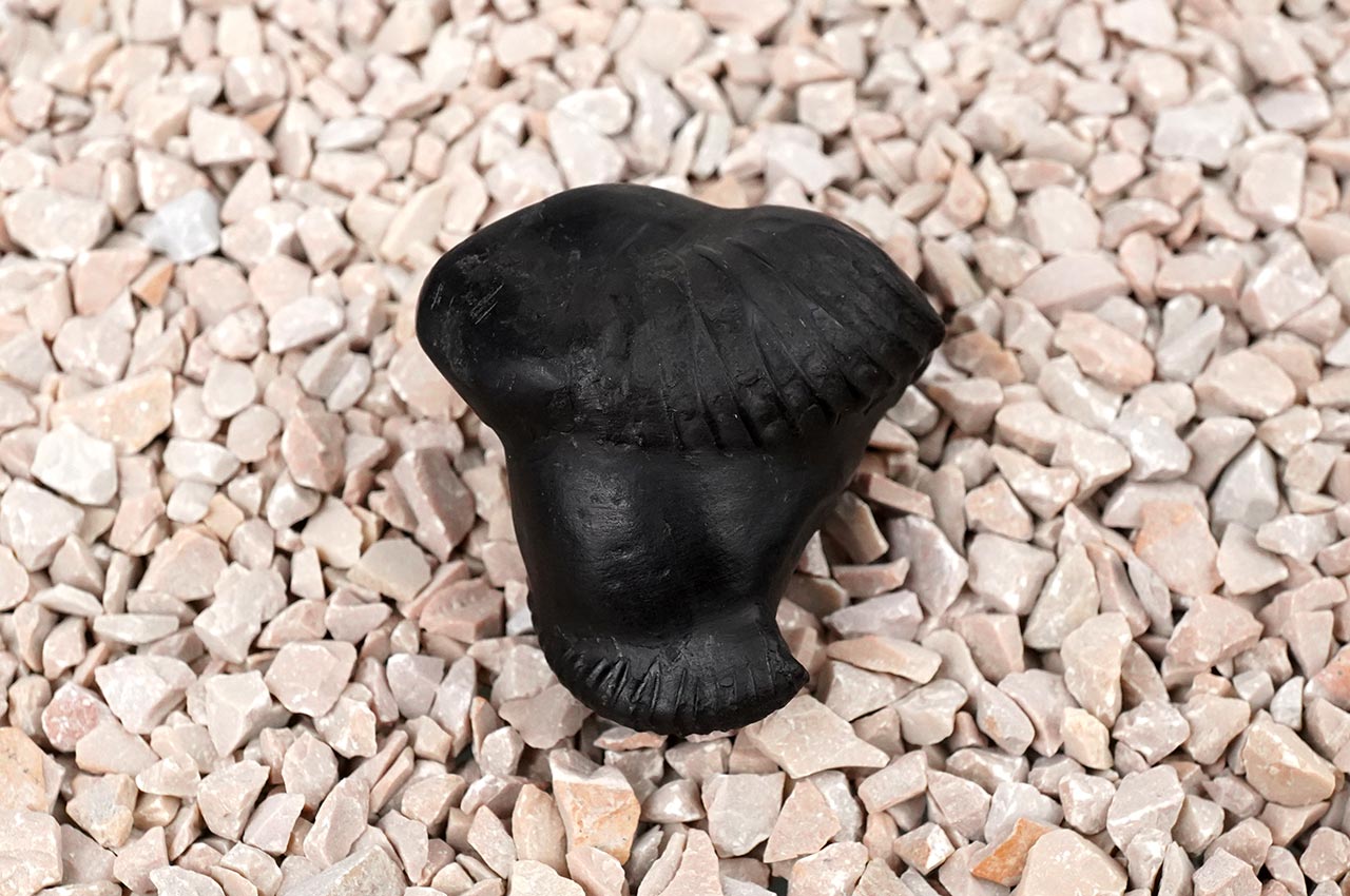 Shesha Garuda Golden Crystal Shaligram Shila