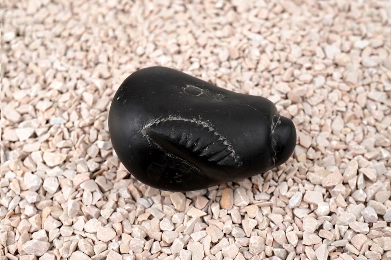 Mahalingam Trinetra Chandrashekar Shaligram