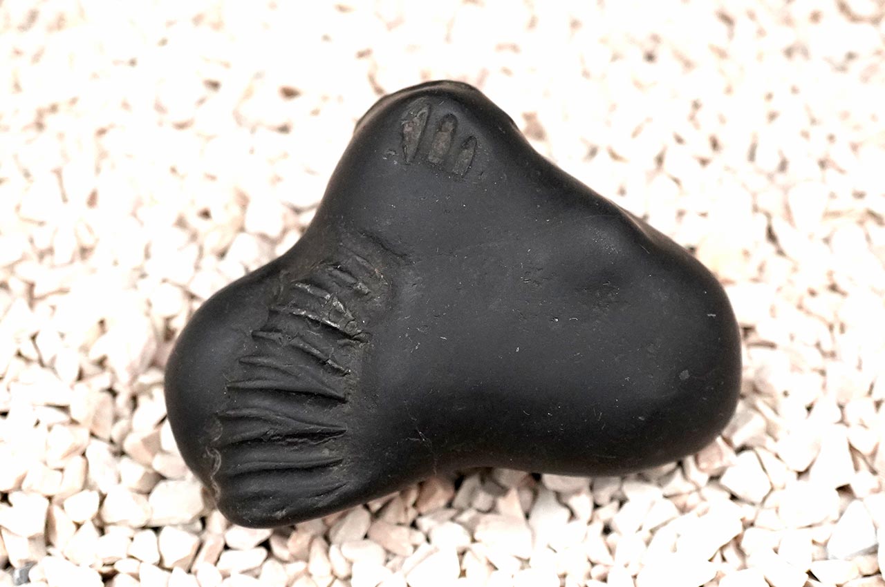 Brahma Vishnu Mahesh Kalki Vishnu Kund Vishnu Tilak Shaligram