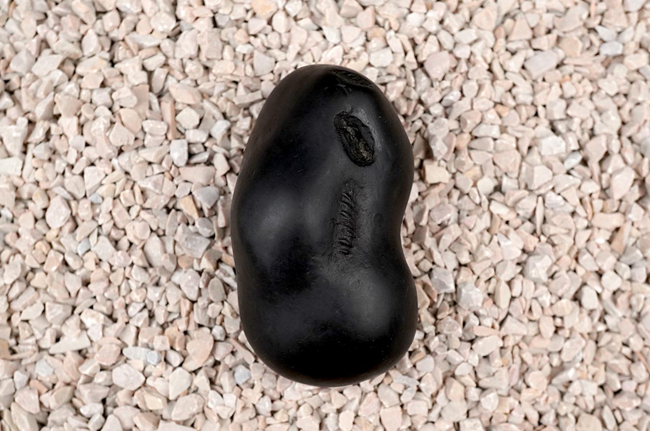Santan Gopal Sudarshan Shaligram Shila