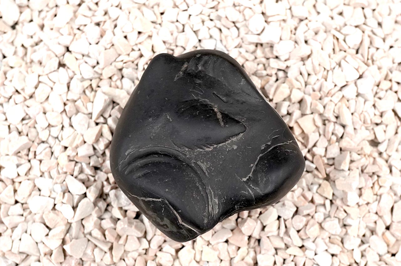 Radha Krishna Maha Aniruddha Chandrama Shaligram Shila