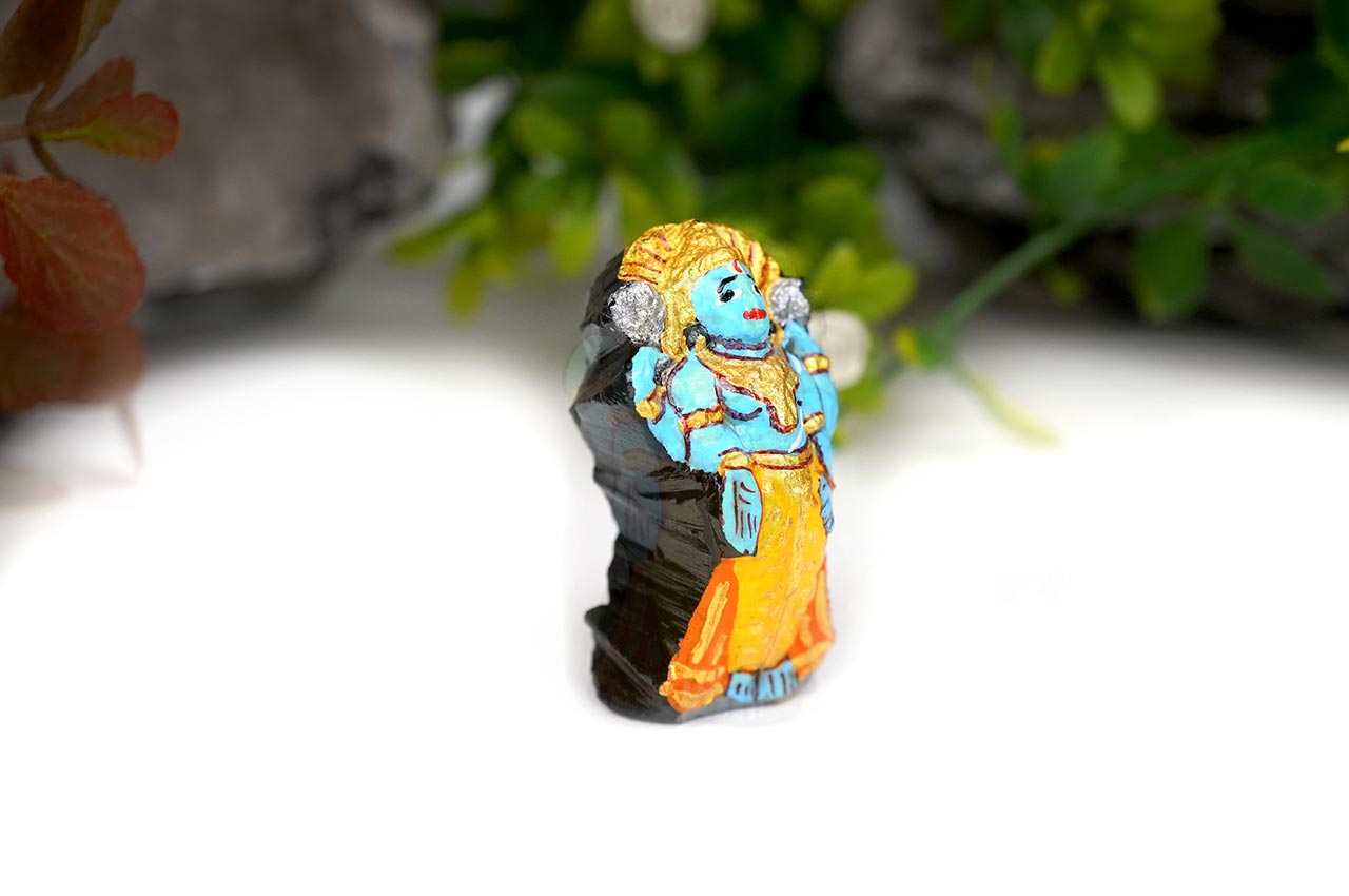 Narayan Shaligram Murti - V (Painted)