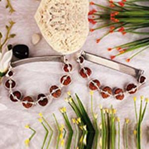 Sarva Siddha 2 Mukhi to 18 Mukhi Java