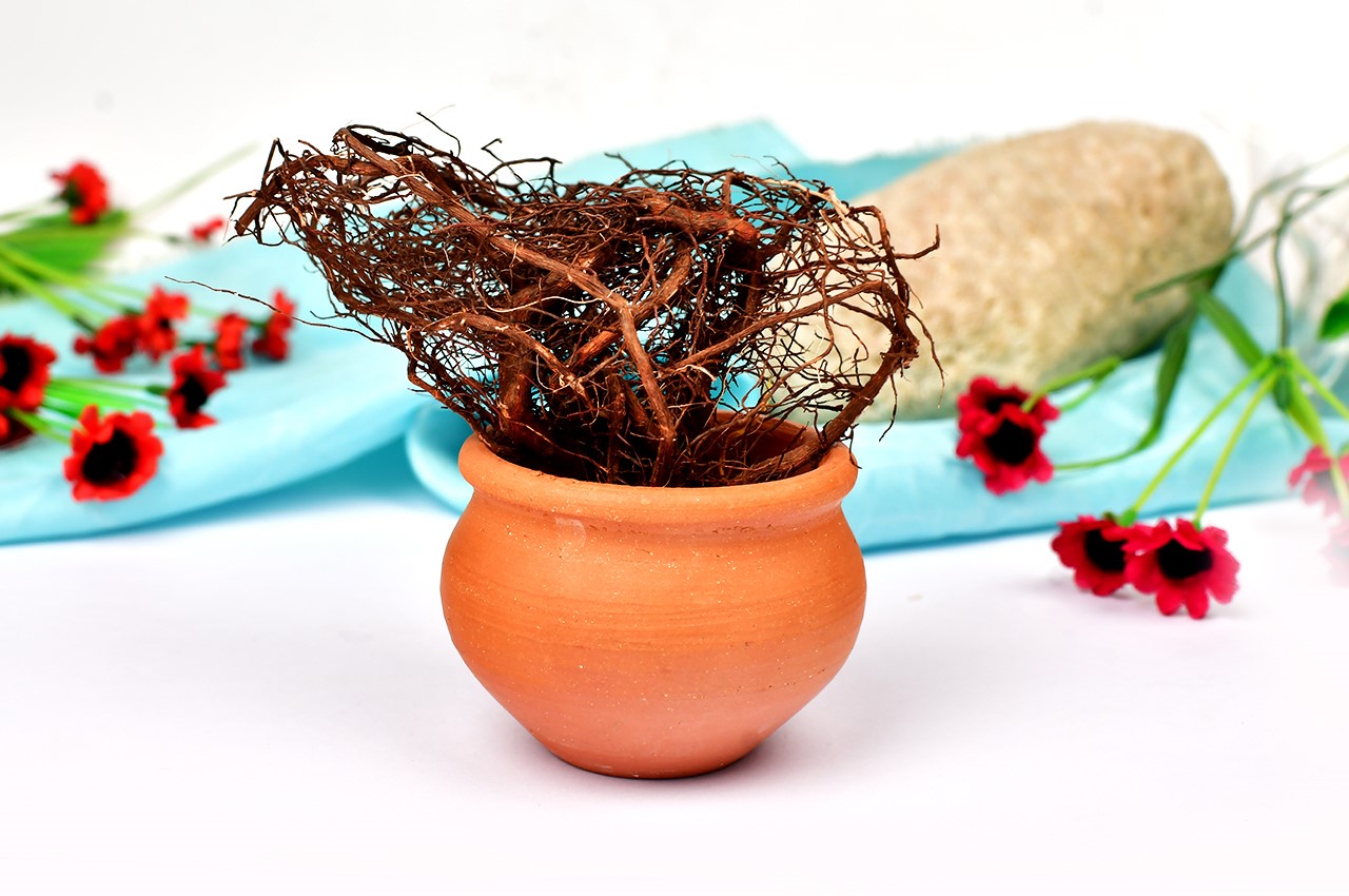 Morpankhi Root