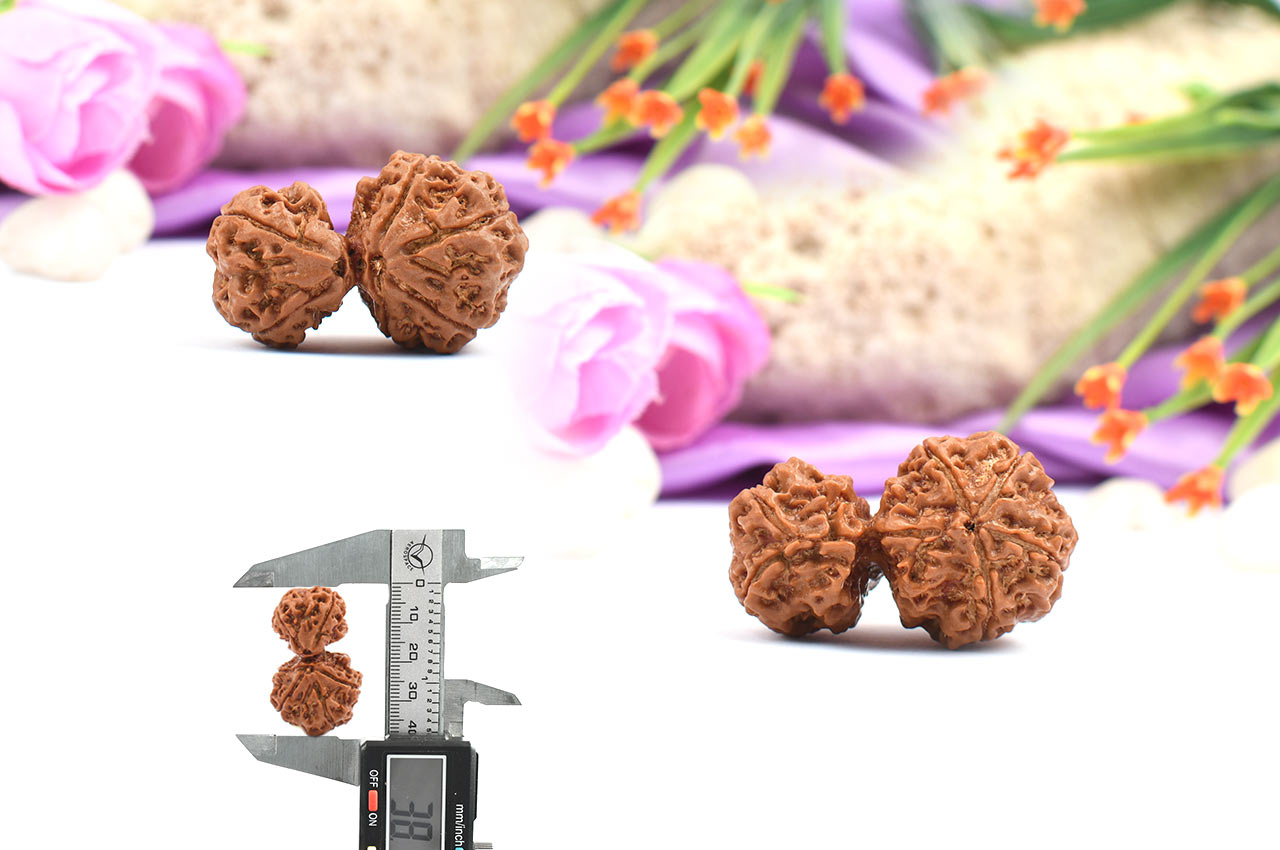 Collector Garbh Gauri from Nepal - V