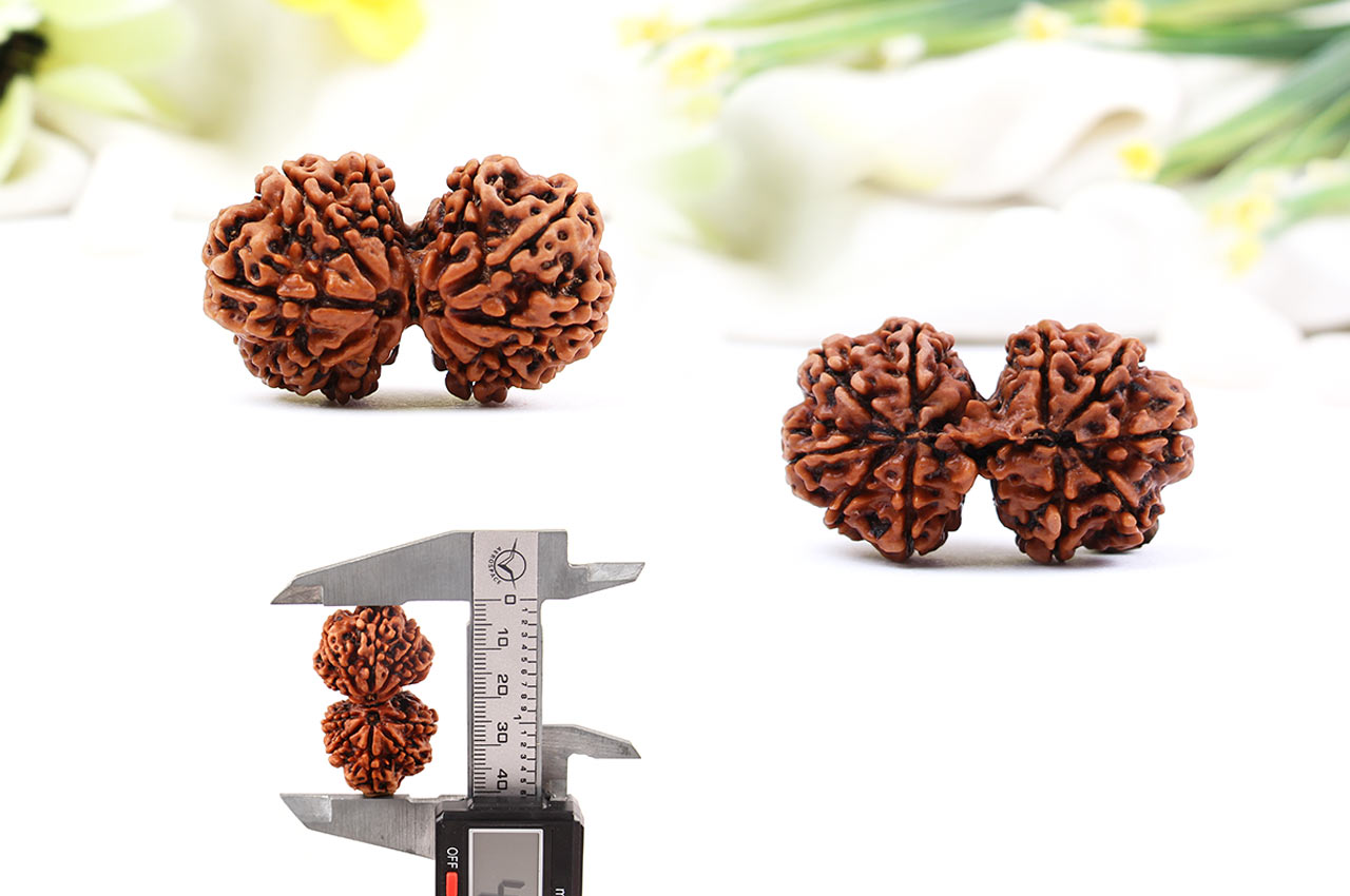 Collector Gauri Shankar - XXVII