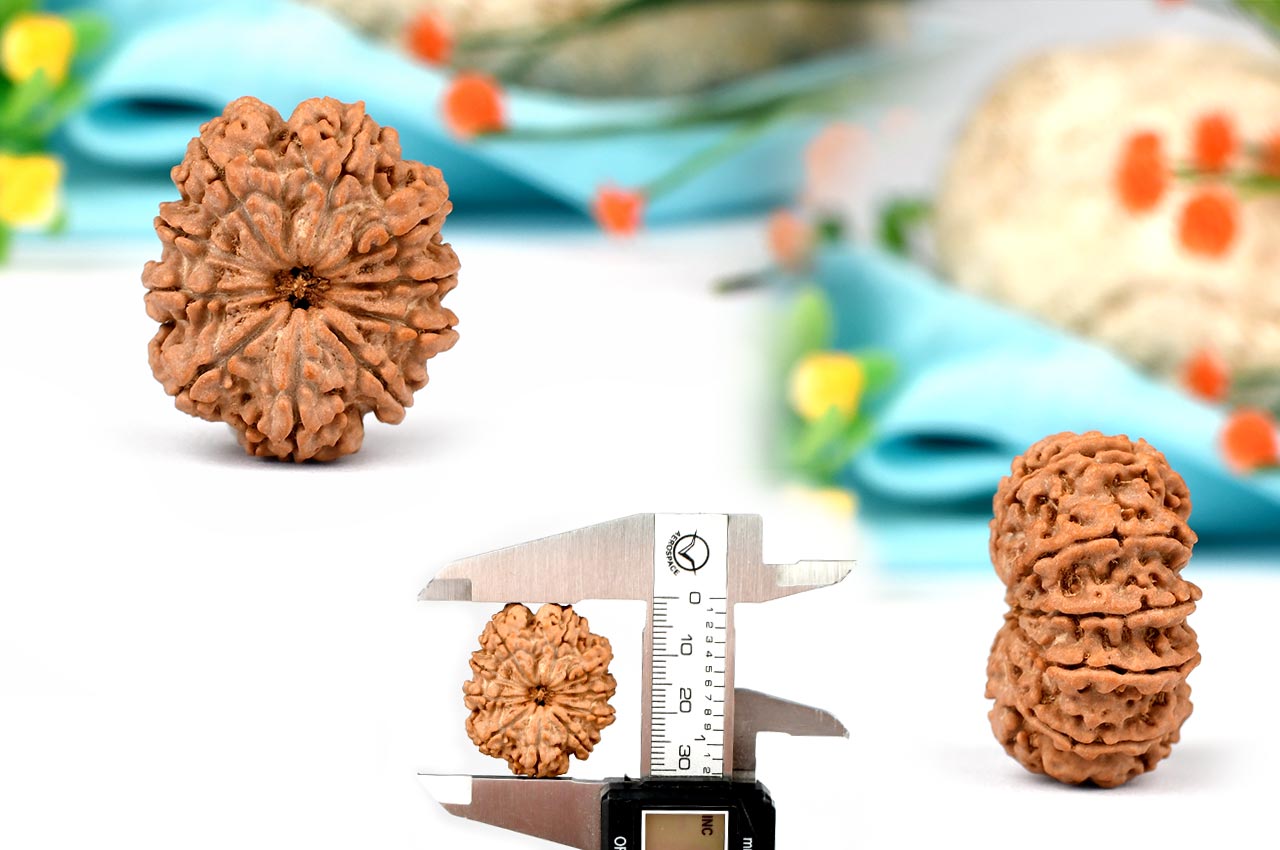 Collector Ten Mukhi from Nepal - XXXI