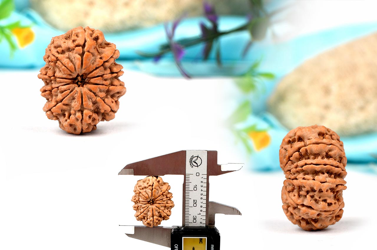 Super Collector Ten Mukhi from Nepal - VI