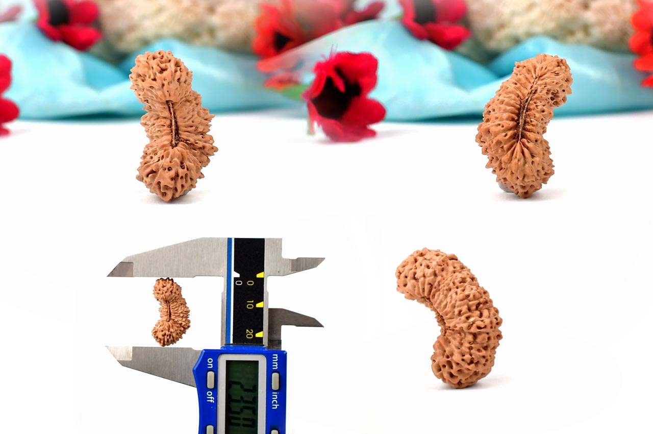 Thirty Mukhi from Java - V