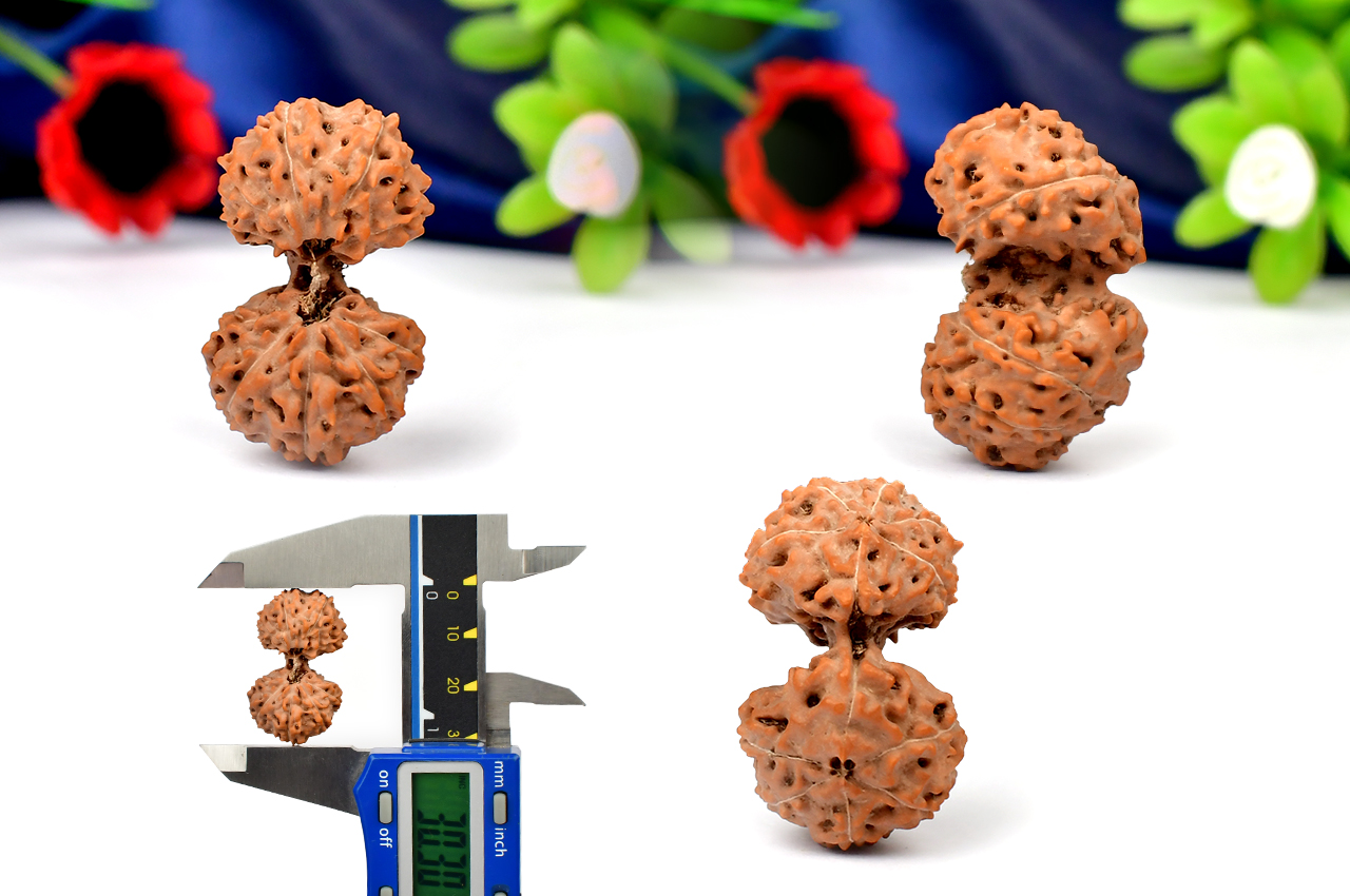 Gauri Shankar - 10 Mukhi from Java Indonesia - II