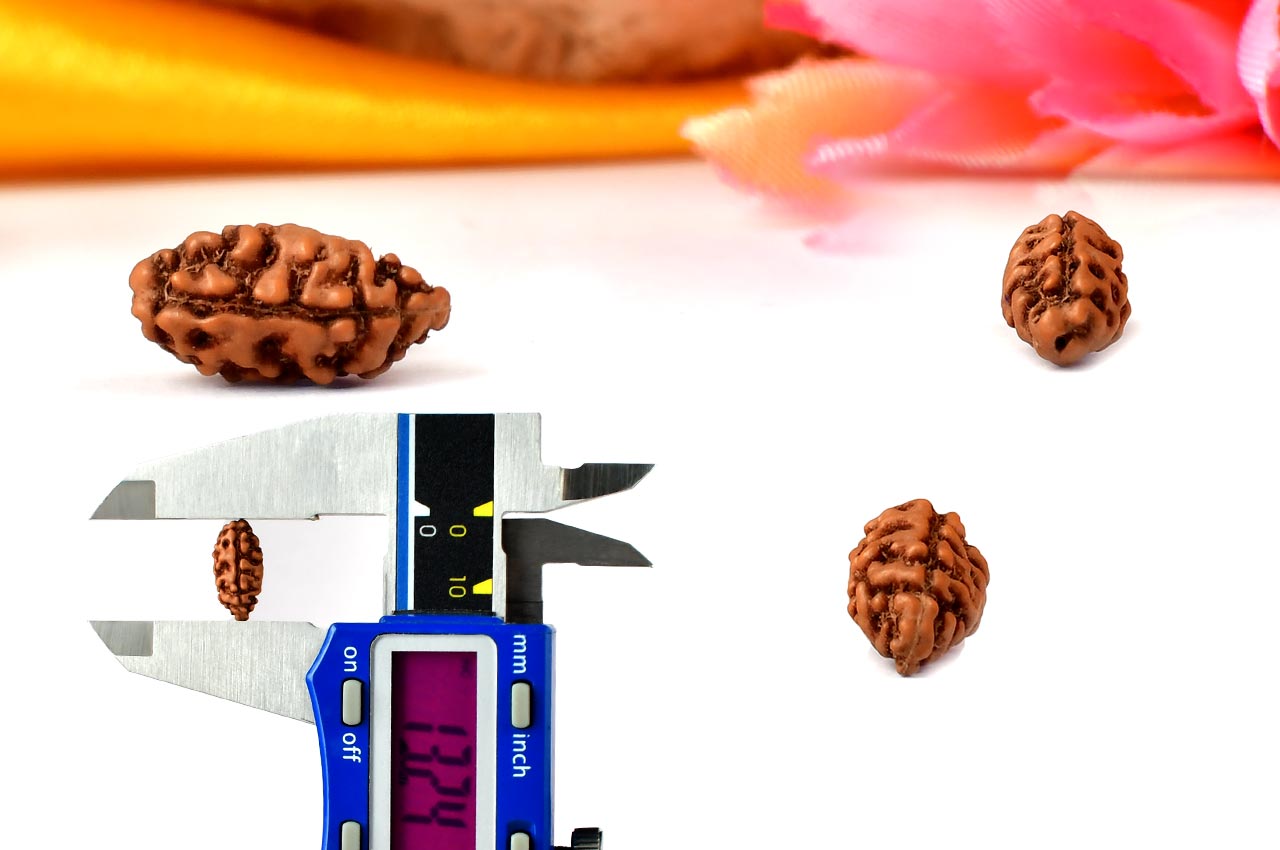 Collector One mukhi from Java Indonesia - CLV