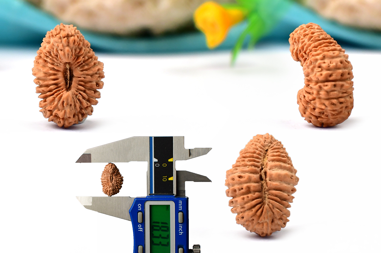 Thirty Mukhi from Java - VI