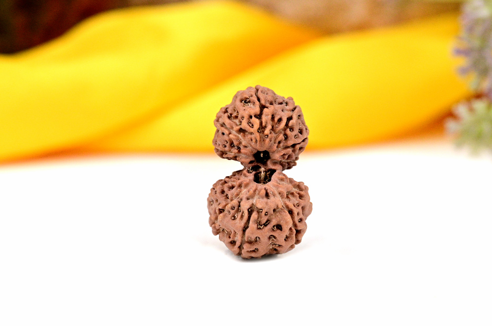 Gauri Shankar - 11 Mukhi from Java Indonesia - II