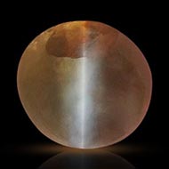 Cats eye - Kanak Kheth - 2.65 carats