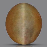 Cats eye - Orissa - Bihar - 2.50 Carats - II