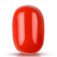 Red Japanese Coral - 11.13 carats