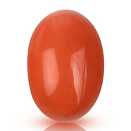 Red Japanese Coral - 9.76 carats