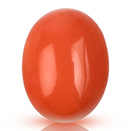 Red Japanese Coral - 9.04 carats
