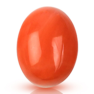 Red Japanese Coral - 9.18 carats